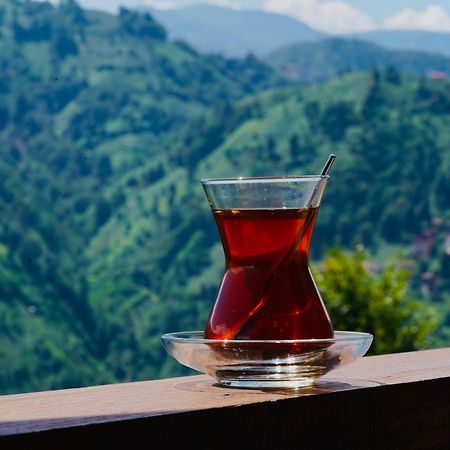 Pathika Bungalov Çamlıhemşin Buitenkant foto