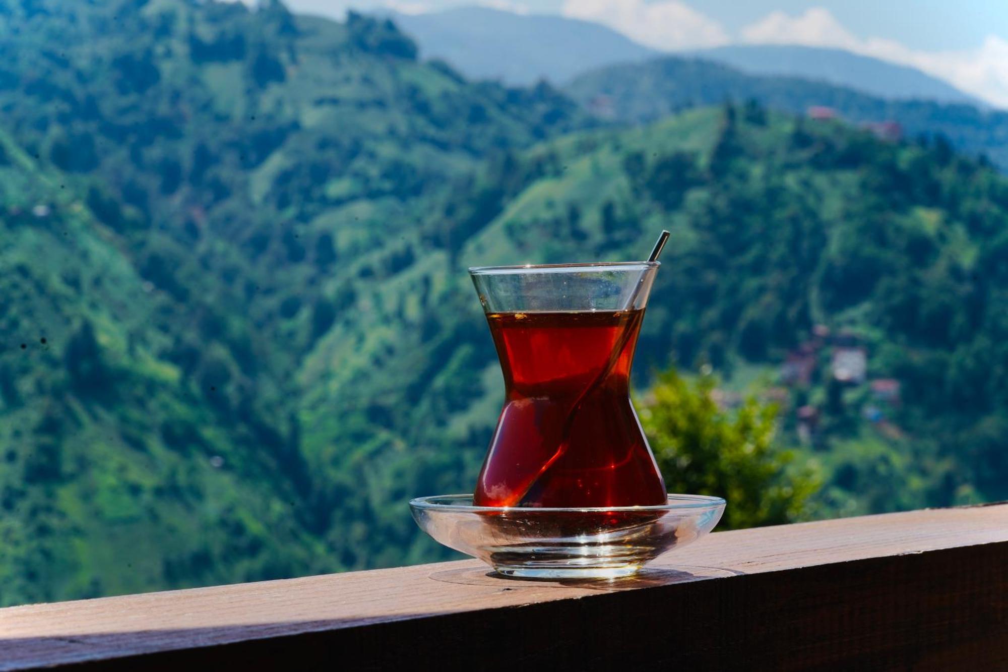 Pathika Bungalov Çamlıhemşin Buitenkant foto